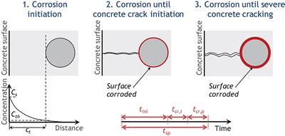 Seismic Retrofit Screening of Existing Highway Bridges With Consideration of Chloride-Induced Deterioration: A Bayesian Belief Network Model